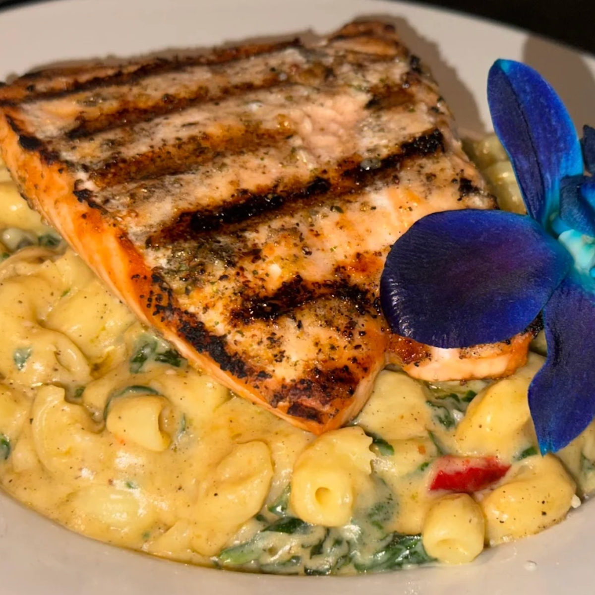 Grilled Salmon