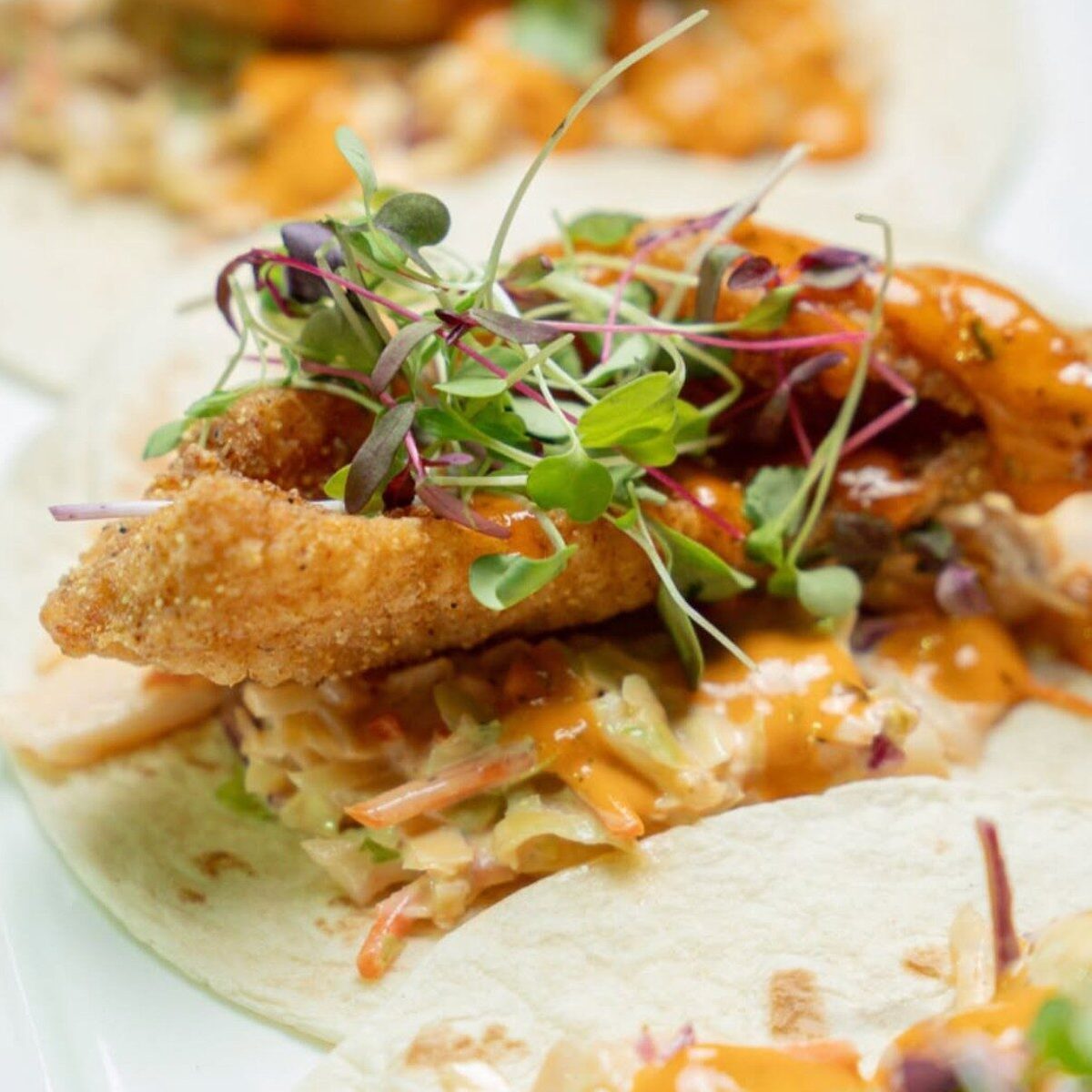 Fried Fish Tacos